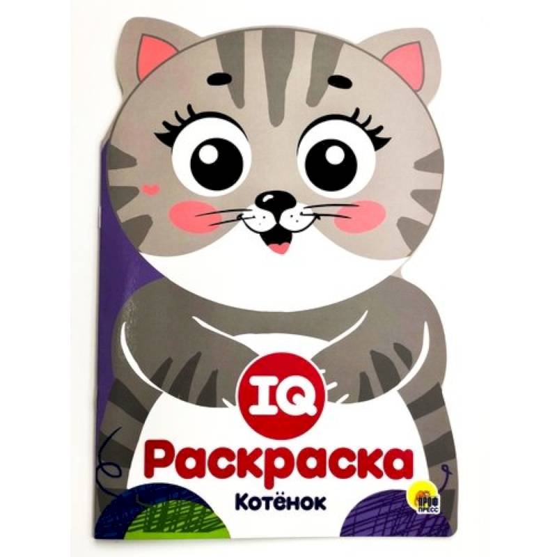 IQ раскраска. Котенок