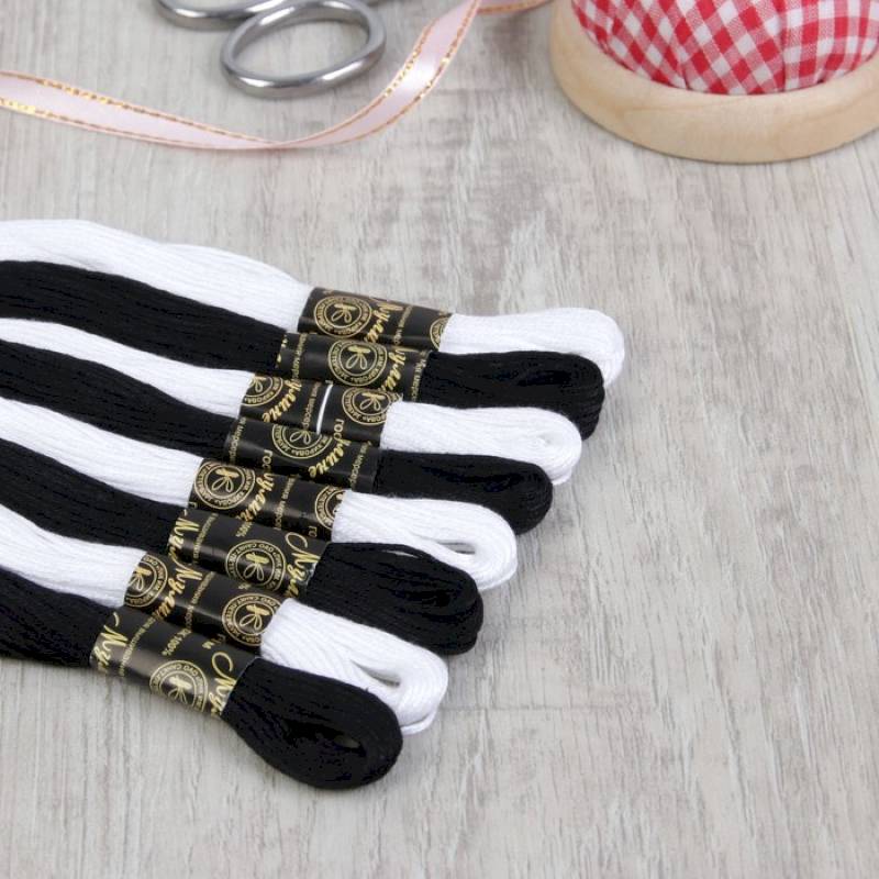 Набор ниток мулине «Рояль», 10 ± 1 м, 8 шт, цвет чёрный/белый Набор ниток мулине «Рояль», 10 ± 1 м, 8 шт, цвет чёрный/белый