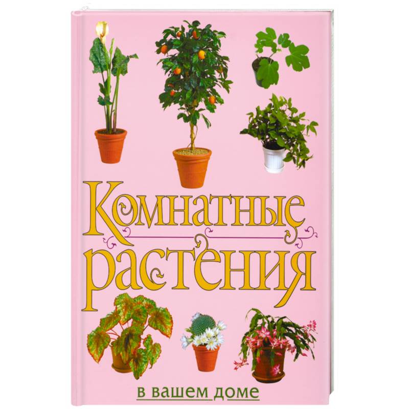 Самые лучшие и полезные комнатные цветы для квартиры и дома: какие выбрать, что нужно знать