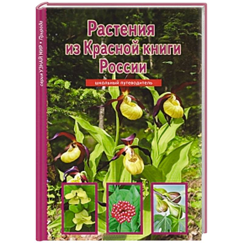 Растения из Красной книги России. Школьный путеводитель