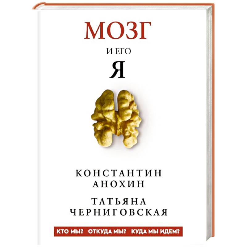 Мозг и его “Я”. Кто мы? Откуда мы? Куда мы идем?