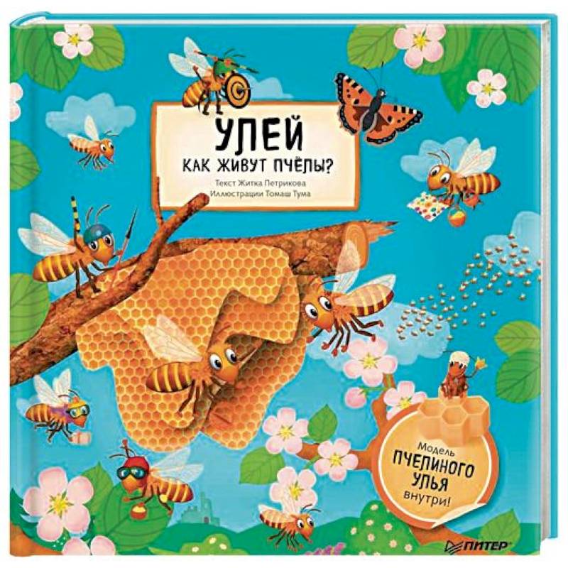 Улей. Как живут пчёлы?