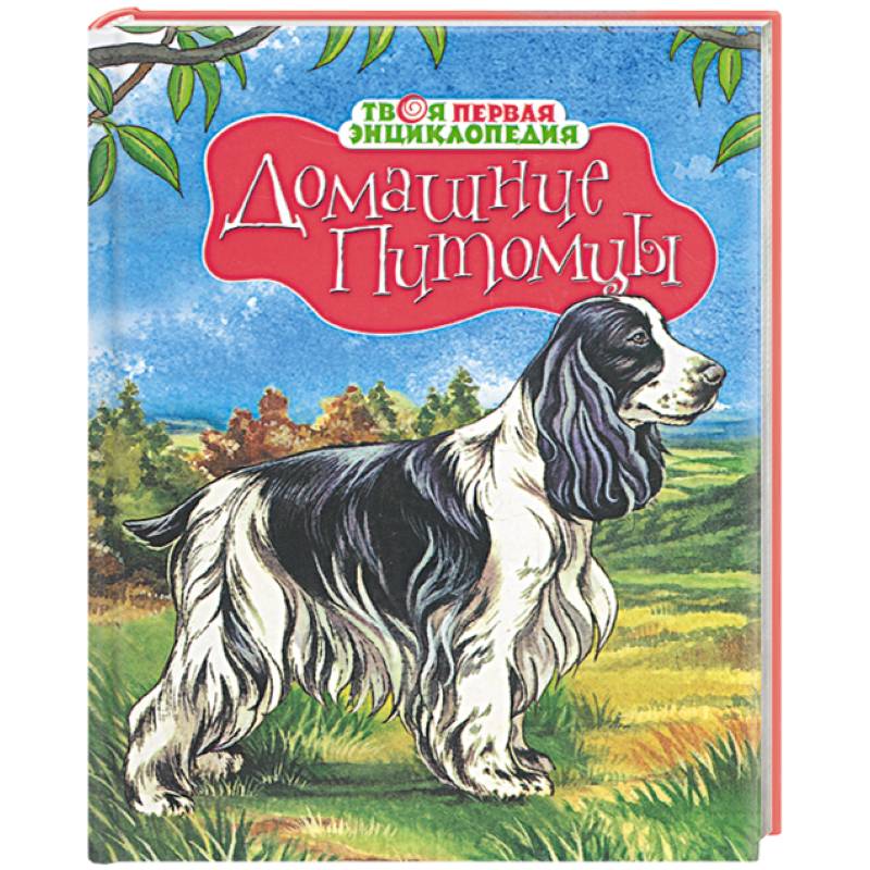 Домашние питомцы