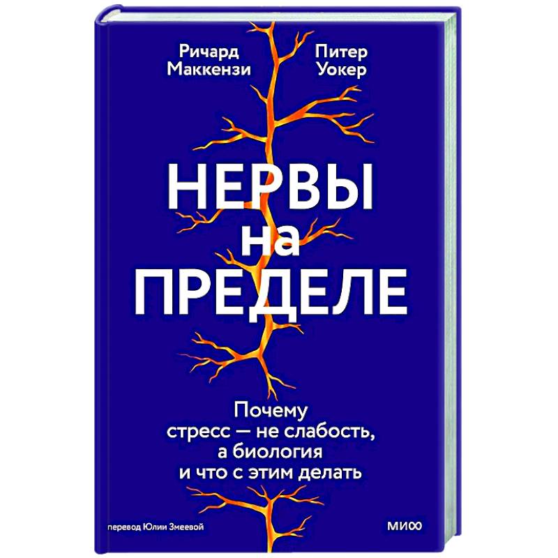 Нервы на пределе. Почему стресс — не слабость, а биология, и что с этим делать