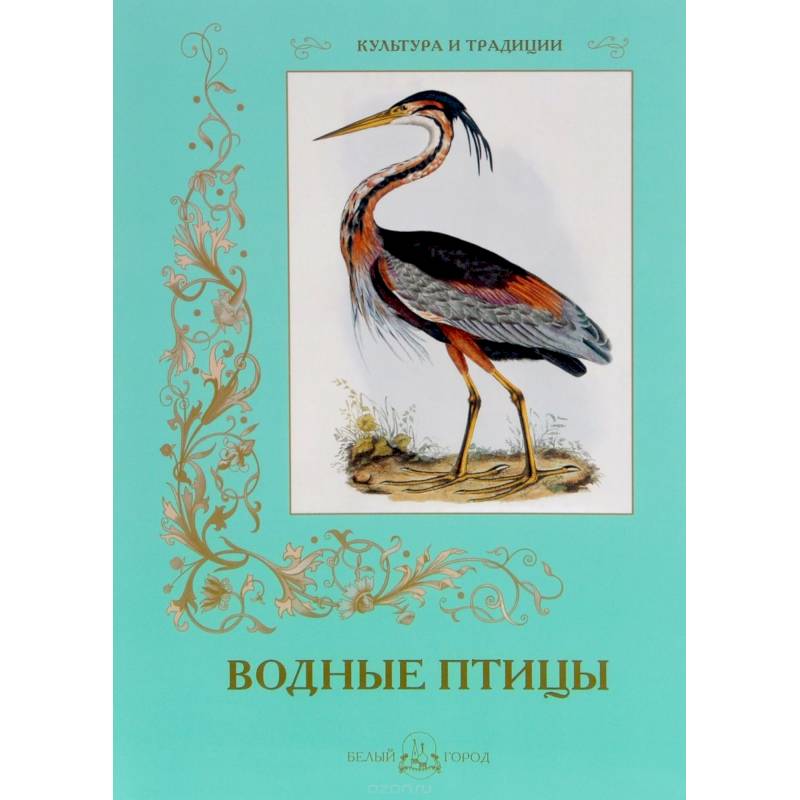 Водные птицы