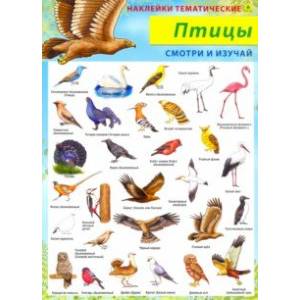 Птицы. Наклейки тематические