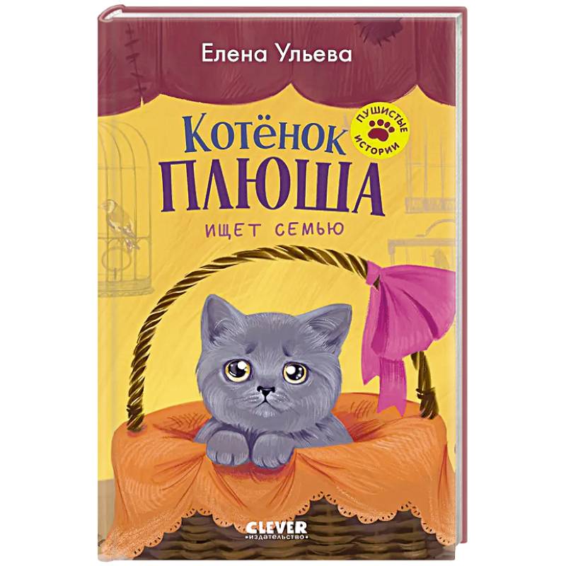 Котенок Плюша ищет семью Котенок Плюша ищет семью