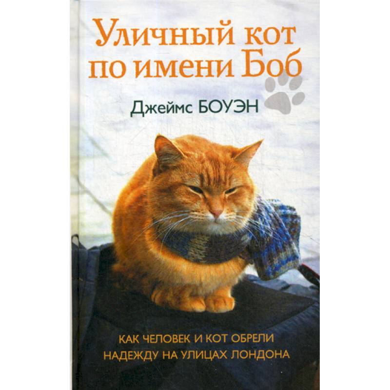 Кот боб книга. Джеймс Боуэн уличный кот по имени Боб. Боуэн уличный кот по имени Боб книга. Рыжий кот по имени Боб книга. Уличный кот по кличке Боб обложка книги.