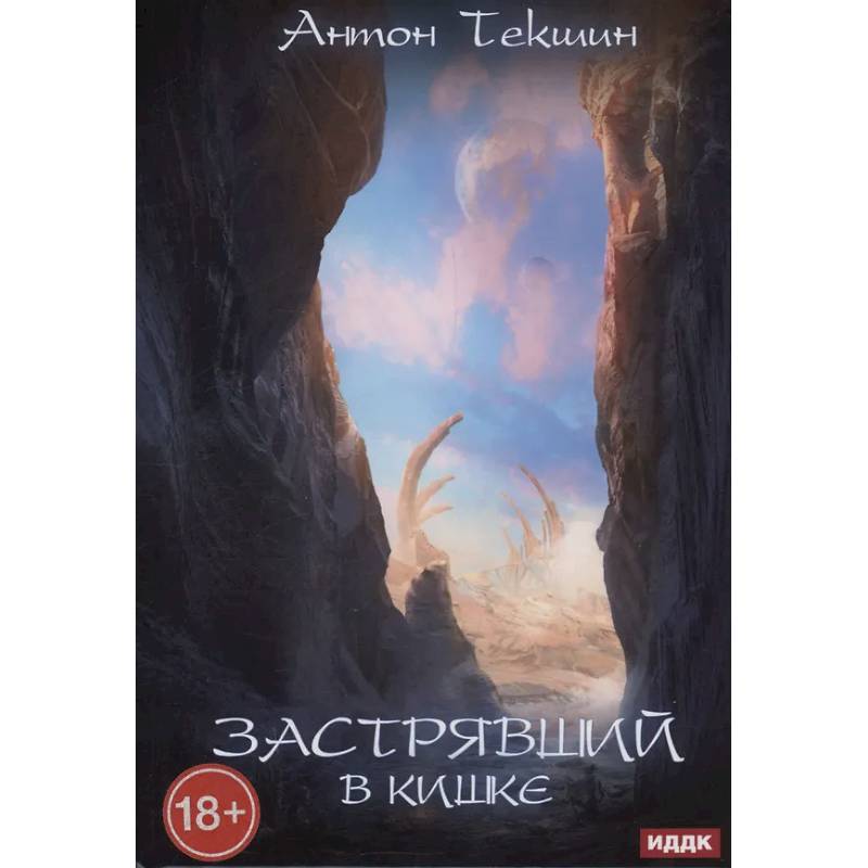 Застрявший. Книга 3. Застрявший в Кишке