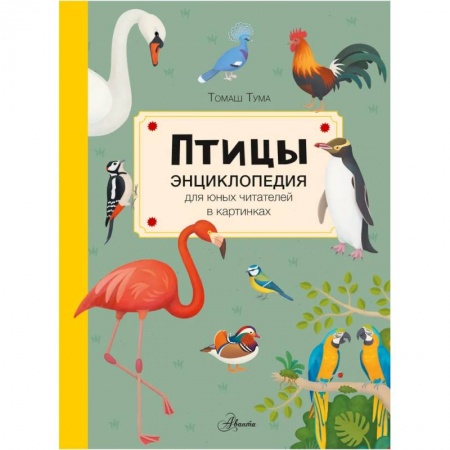 Познавательная литература, книга Птицы