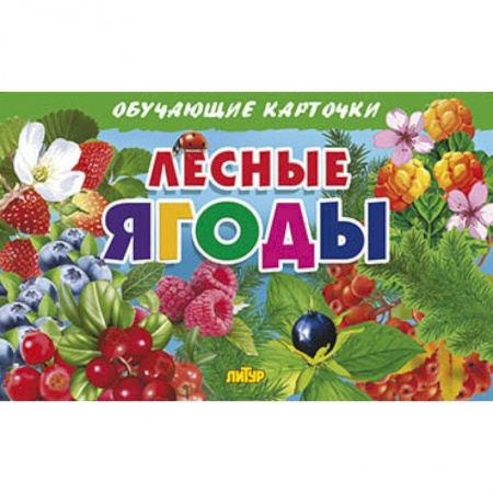 Дошкольникам, книга Лесные ягоды. Обучающие карточки