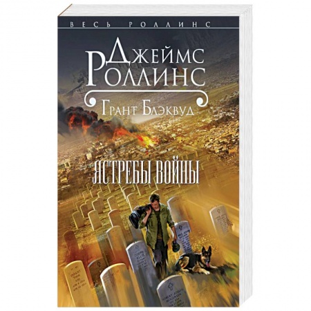 Детективы, триллеры, книга Ястребы войны