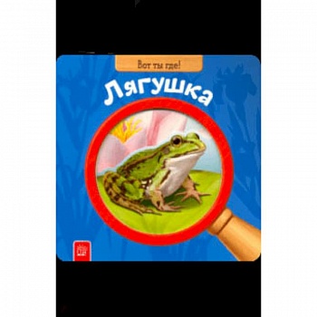 Вот ты где! Лягушка