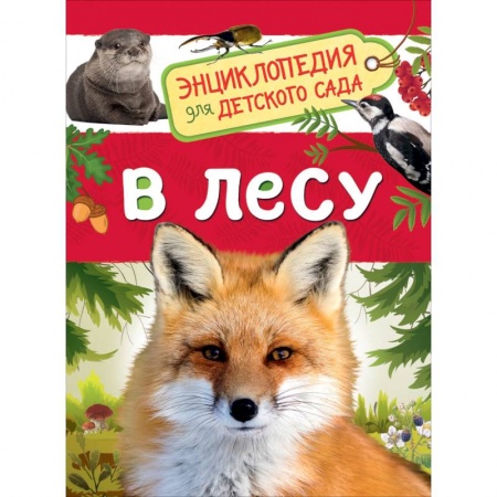 Познавательная литература, книга В лесу