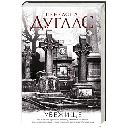 Классика, современная литература, книга Убежище