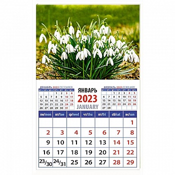 Календарь Подснежники  на 2023 год