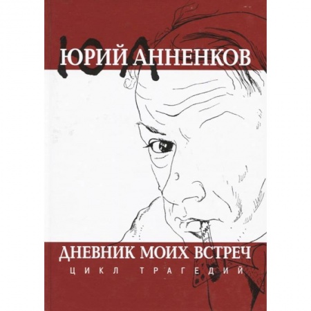 Мемуары, биографии, книга Дневник моих встреч. Цикл трагедий