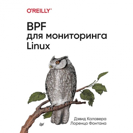Операционные системы (Windows, Linux...), книга BPF для мониторигна Linux