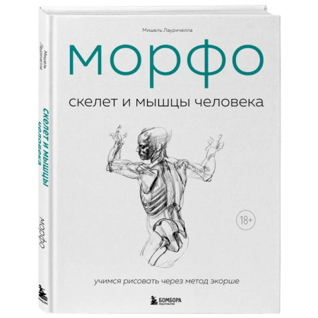 Рисование, живопись, книга МОРФО. Скелет и мышцы человека. Анатомия для художников