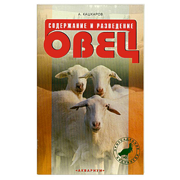 Содержание и разведение овец