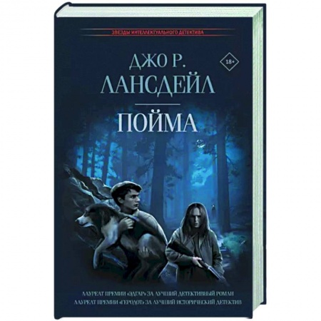 Детективы, триллеры, книга Пойма