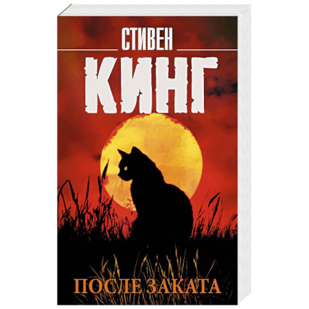Фантастика, фэнтези, книга После заката