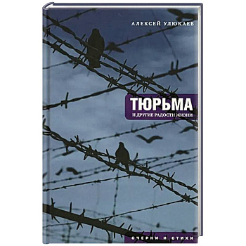 Тюрьма и другие радости жизни: очерки и стихи