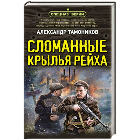 Детективы, триллеры, книга Сломанные крылья рейха