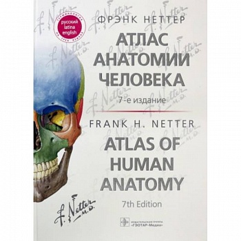 Атлас анатомии человека