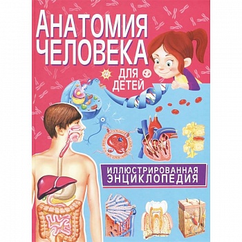 Анатомия человека для детей. Иллюстрированная энциклопедия