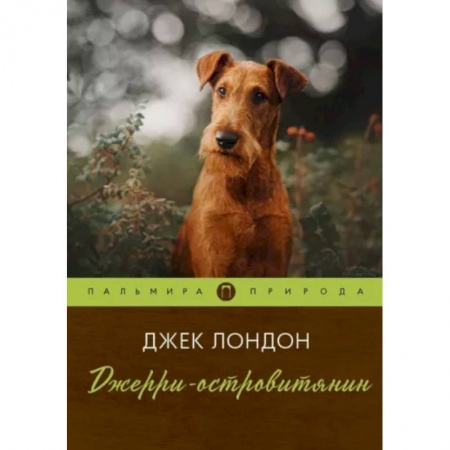 Проза для детей, книга Джерри-островитянин