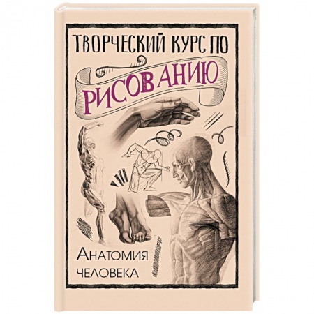 Книги, книга Творческий курс по рисованию. Анатомия человека