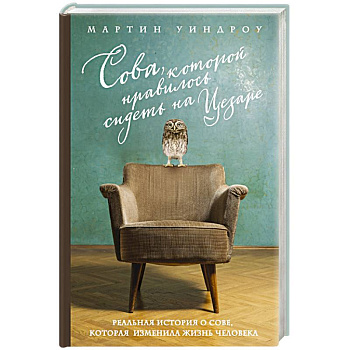 Сова, которой нравилось сидеть на Цезаре