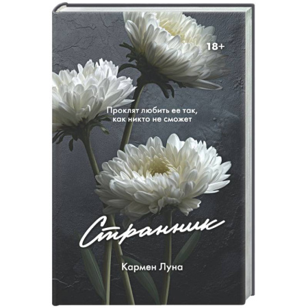 Любовный роман, книга Странник