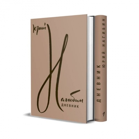 Мемуары, биографии, книга Дневник: В 2 томах