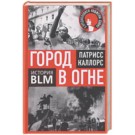 Публицистика, книга Город в огне. История Black lives matter
