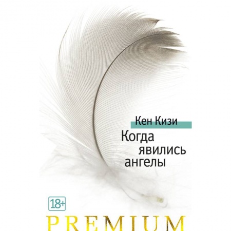 Классика, современная литература, книга Когда явились ангелы