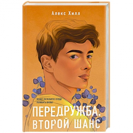 Любовный роман, книга Передружба. Второй шанс