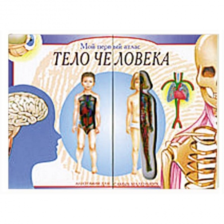 Книги, книга Мой первый атлас: Тело человека. Анатомия для самых маленьких