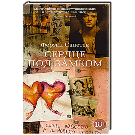 Классика, современная литература, книга Сердце под замком