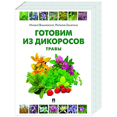 Общие вопросы по кулинарии, книга Готовим из дикоросов. Травы