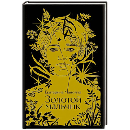 Классика, современная литература, книга Золотой мальчик