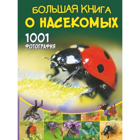 Познавательная литература, книга Большая книга о насекомых. 1001 фотография
