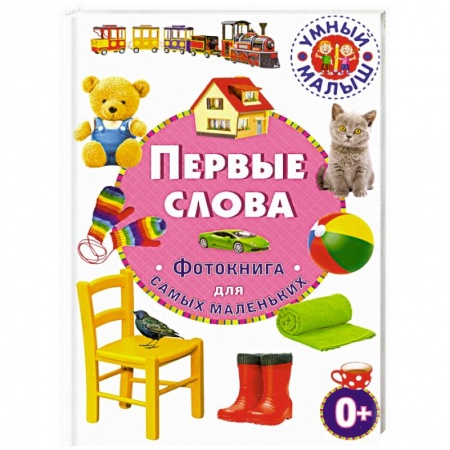 Книги для самых маленьких (0-3 года), книга Первые слова. Фотокнига для самых маленьких