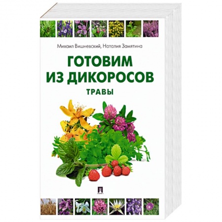 Вегетарианская кухня, книга Готовим из дикоросов. Травы