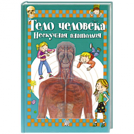 Книги, книга Тело человека: нескучная анатомия