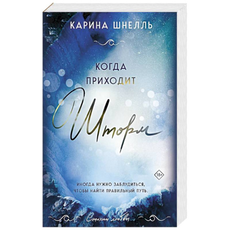 Любовный роман, книга Когда приходит шторм