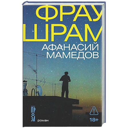 Классика, современная литература, книга Фрау Шрам