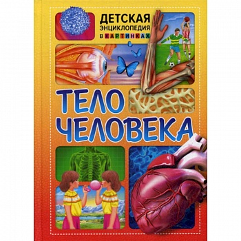 Тело человека