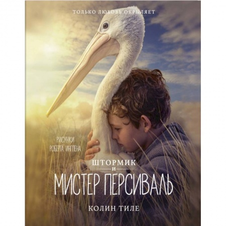 Художественная литература, книга Штормик и мистер Персиваль